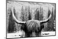 Photographic Print