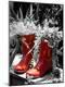 Photographic Print
