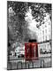 Photographic Print