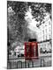 Photographic Print