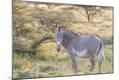 Photographic Print