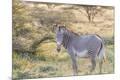 Photographic Print