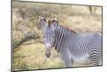 Premium Photographic Print