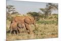 Premium Photographic Print