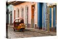 Stretched Canvas Print