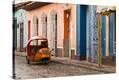 Stretched Canvas Print