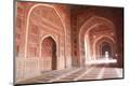 Photographic Print