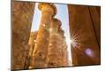 Photographic Print