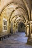 Portugal, Coimbra. Old Cathedral Cloister. Archways, Walking Paths, Courtyard-Emily Wilson-Photographic Print