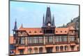Photographic Print