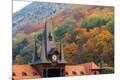 Premium Photographic Print