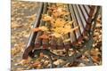 Premium Photographic Print