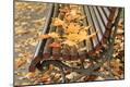 Premium Photographic Print