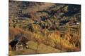 Premium Photographic Print