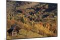 Premium Photographic Print