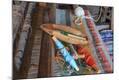 Photographic Print