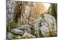 Photographic Print