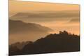 Premium Photographic Print