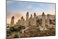 Premium Photographic Print
