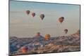 Premium Photographic Print