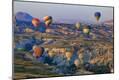 Premium Photographic Print