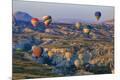 Premium Photographic Print