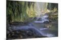 Premium Photographic Print
