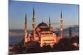 Photographic Print