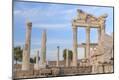 Premium Photographic Print