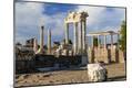 Premium Photographic Print