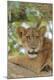 Premium Photographic Print