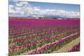 Premium Photographic Print