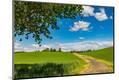 Photographic Print