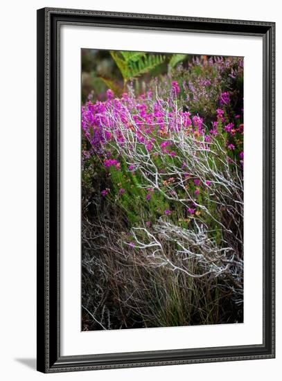 Eminent-Philippe Sainte-Laudy-Framed Photographic Print