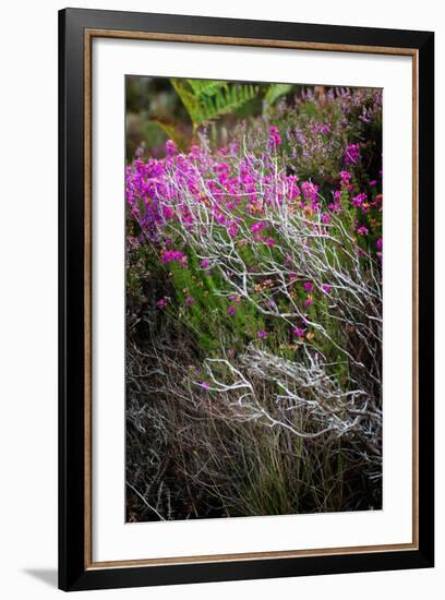 Eminent-Philippe Sainte-Laudy-Framed Photographic Print