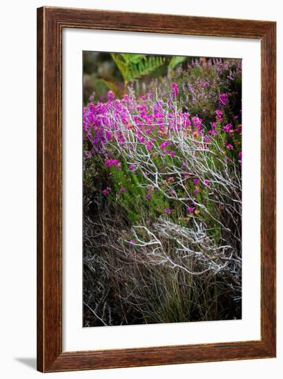 Eminent-Philippe Sainte-Laudy-Framed Photographic Print