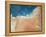 Emirate of Abu Dhabi, Satellite Image-null-Framed Premier Image Canvas