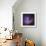 Emission Nebula and Open Cluster in Cassiopeia-Robert Gendler-Giclee Print displayed on a wall