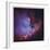 Emission Nebula and Open Cluster in Cassiopeia-Robert Gendler-Framed Giclee Print