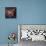 Emission Nebula IC 1805-Davide De Martin-Premium Photographic Print displayed on a wall