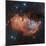 Emission Nebula IC 1848-Davide De Martin-Mounted Premium Photographic Print