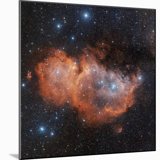 Emission Nebula IC 1848-Davide De Martin-Mounted Premium Photographic Print