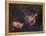 Emission Nebulae IC 1848 And IC 1805-Davide De Martin-Framed Premier Image Canvas