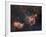 Emission Nebulae IC 1848 And IC 1805-Davide De Martin-Framed Photographic Print