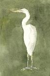 Emerald Heron IV-Emma Caroline-Art Print