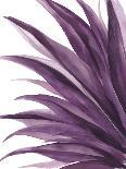 Violet Palms 1-Emma Jones-Giclee Print