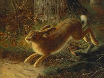 A Hare in a Landscape, 1882-Emma Mulvad-Mounted Giclee Print