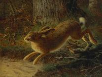 A Hare in a Landscape-Emma Mulvad-Framed Premier Image Canvas