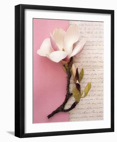 Emma's Garden Magnolia-Deborah Schenck-Framed Art Print