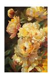 Ranunculus Garden-Emma Styles-Framed Art Print
